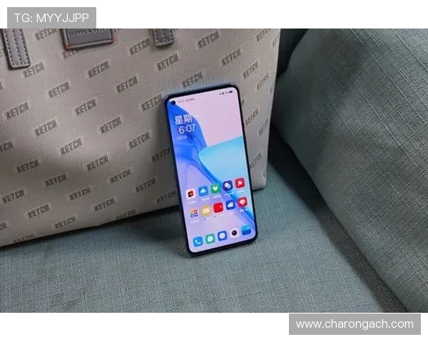 欧博二代D豪华版材质优选，确保产品耐用性与高端质感完美结合